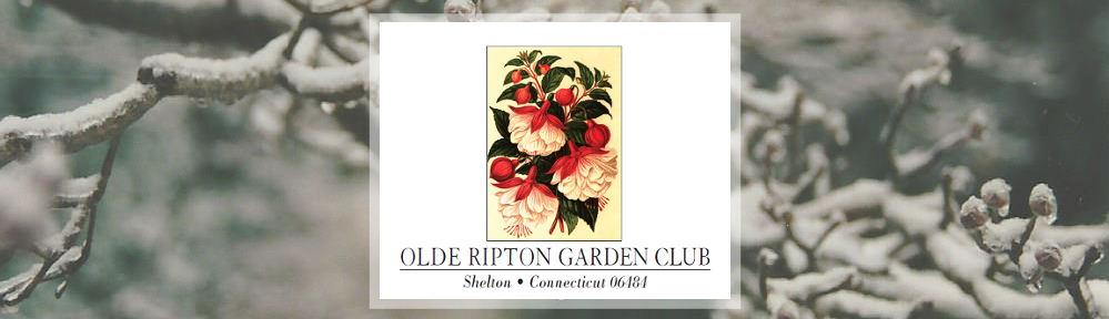 Olde Ripton Garden Club