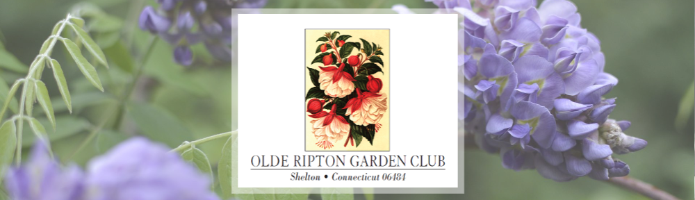 Olde Ripton Garden Club